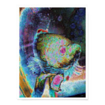 Beta fish 1 posters