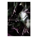 BETA FLESH posters