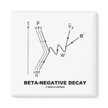 Beta-Negative Decay (Nuclear Physics) Fridge Magnets