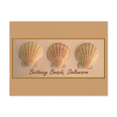 Bethany Beach, Delaware Postcard by MidnightAkita