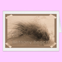 Bethany Grass cards