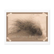 Bethany Grass Postcard
