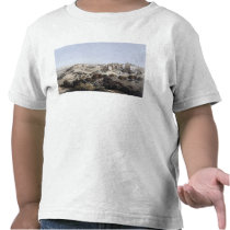 Bethlehem, engraved by Terry t-shirts