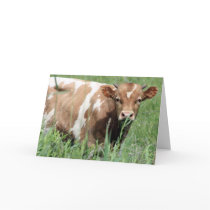 Betsy, Hello Greeting Cards