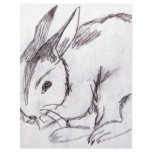 Betsybug Bunny Letterhead