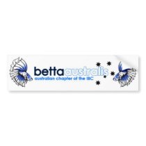 Betta Australis Bumper Sticker