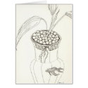 Betta Fish cards