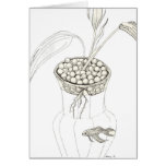 Betta Fish cards