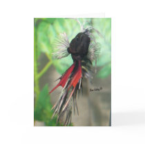 Betta fish Greeting card