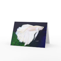 Betta greeting card
