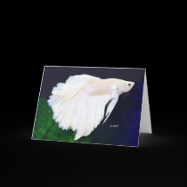 Betta greeting card