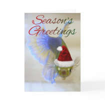 Betta Greeting Card