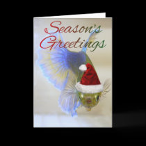 Betta Greeting Card