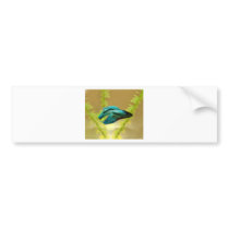 Betta is Better Original Bumper Sticker
