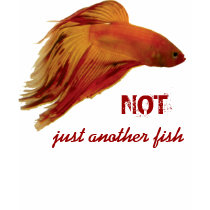 Betta - Not Shirt