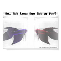 Betta posters