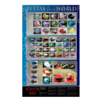 Betta Poster