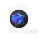 BETTA!!! Siamese Fighting Fish cards