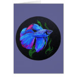 BETTA!!! Siamese Fighting Fish Card