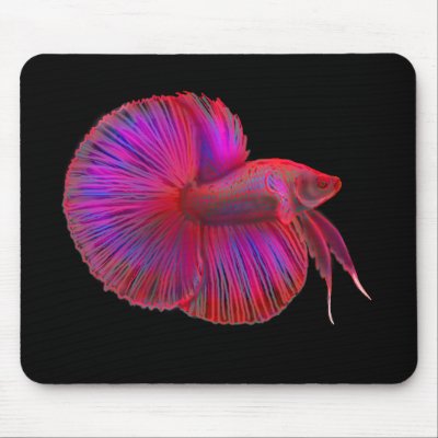Betta Siamese Fighting Fish Mousepad by twopurringcats