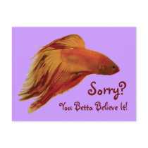 Betta - Sorry Postcard