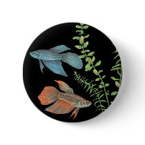 Betta splendens and Rotala indica Black Pins