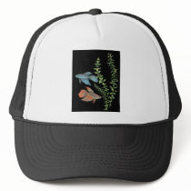 Betta splendens and Rotala indica Black Hat