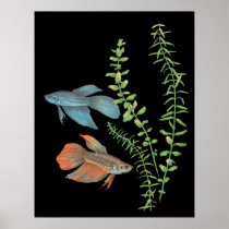 Betta splendens and Rotala indica Black Poster