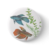 Betta splendens and Rotala indica White Pinback Button