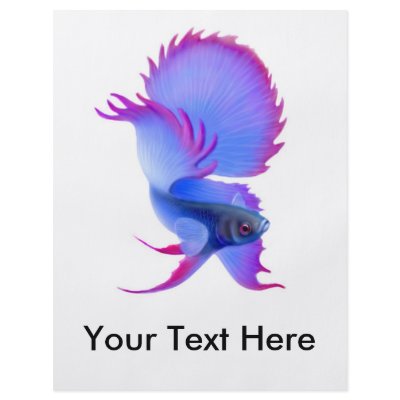 Betta Splendens Fighting Fish Flyer by twopurringcats