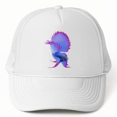 Betta Splendens Fish