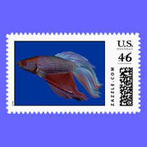 Betta - stamp