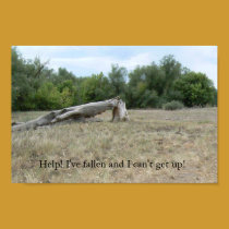Better Days posters by codfishlady Better Days posters