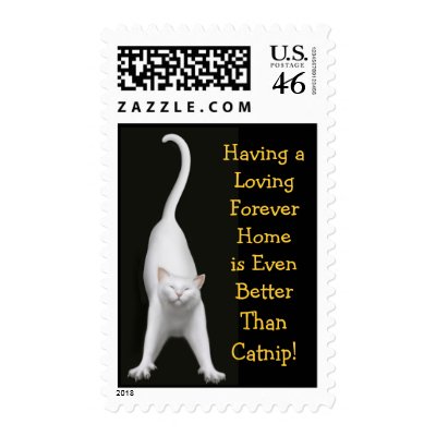 Better Than Catnip Kitty Postage by twopurringcats