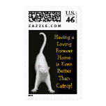 Better Than Catnip Kitty Postage postage