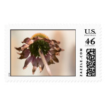 better than tomorrow postage