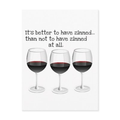 "BETTER TO HAVE ZINNED..."  "THAN NOT TO HAVE ZINN POSTCARD by CreativeContribution