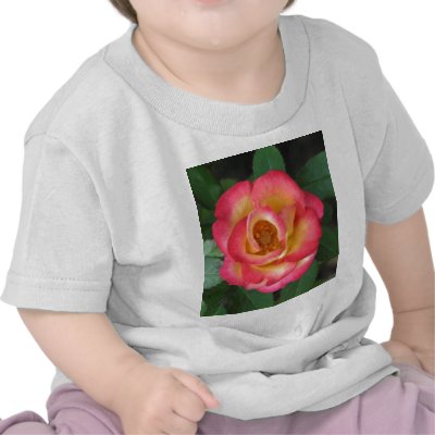 Betty Boop 140 t shirt