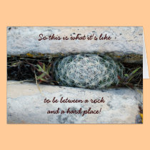Between A Rock And A Hard Place cards