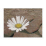 Between A Rock And A Hard Place Postcards
