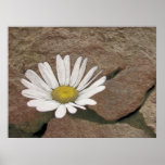 Between A Rock And A Hard Place Poster