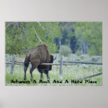 Between A Rock And A Hard Place posters