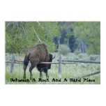 Between A Rock And A Hard Place Posters