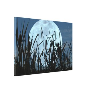 Between Moon and Marsh Canvas Art Print Canvas Prints