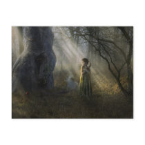 Between The Shadows - Postcard