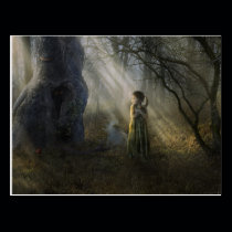 Between The Shadows - Postcard postcards