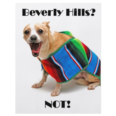 Beverly Hills? NOT! Personalized Flyer by ticopuppy