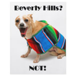 Beverly Hills? NOT! Personalized Flyer