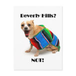 Beverly Hills? NOT! Postcards