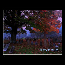 Beverly Postcard postcards